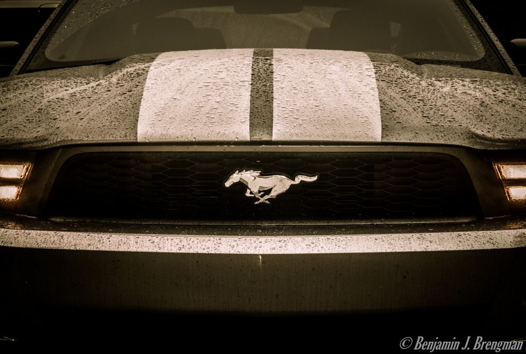 IMAGE: http://i1199.photobucket.com/albums/aa461/bbrengman/005.jpg