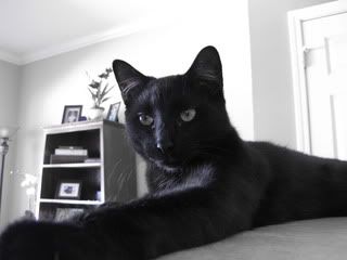 IMAGE: http://i1199.photobucket.com/albums/aa461/bbrengman/193-1.jpg