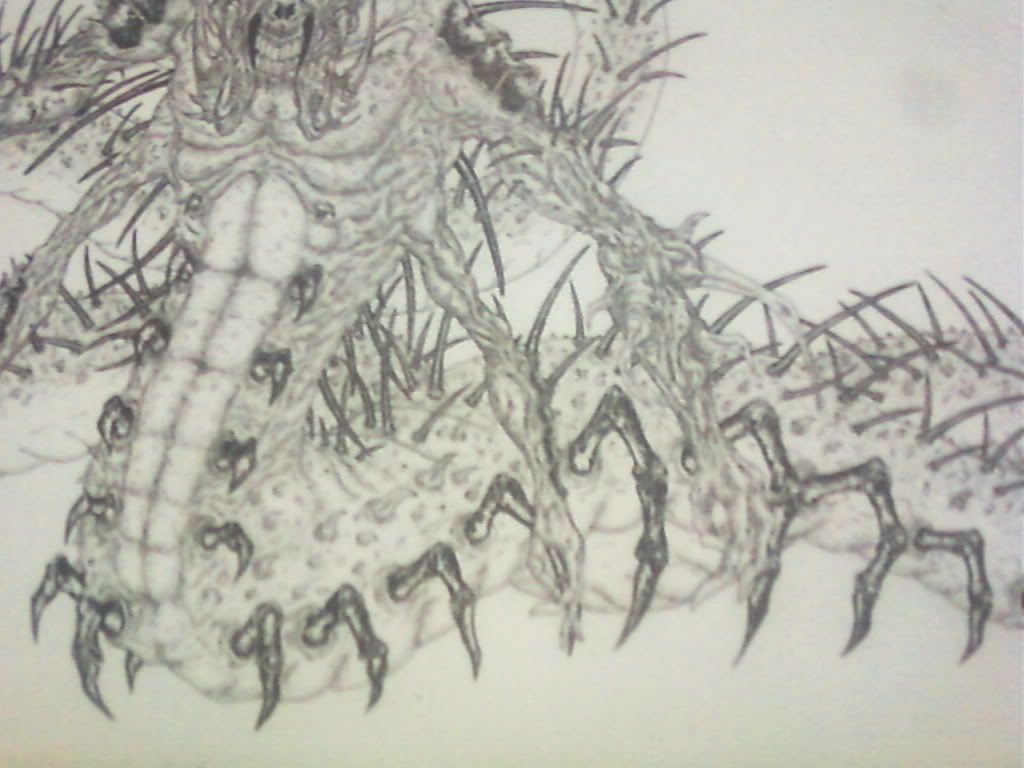 Depredador, ultimos dibujos y anteriores + o - Depredador, ultimos dibujos y anteriores + o -