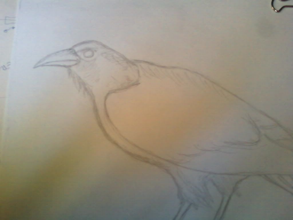 tintas tintas