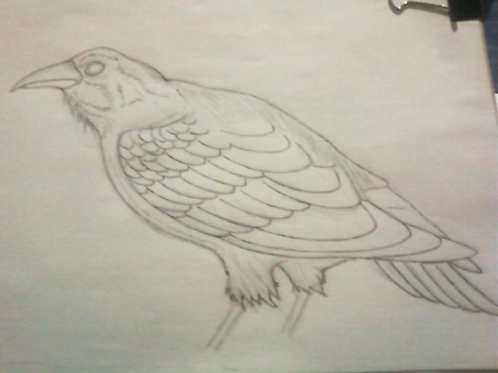 Depredador, ultimos dibujos y anteriores + o - Depredador, ultimos dibujos y anteriores + o -