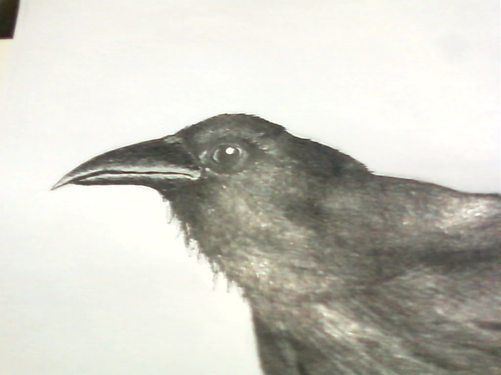 recopilatorio recopilatorio