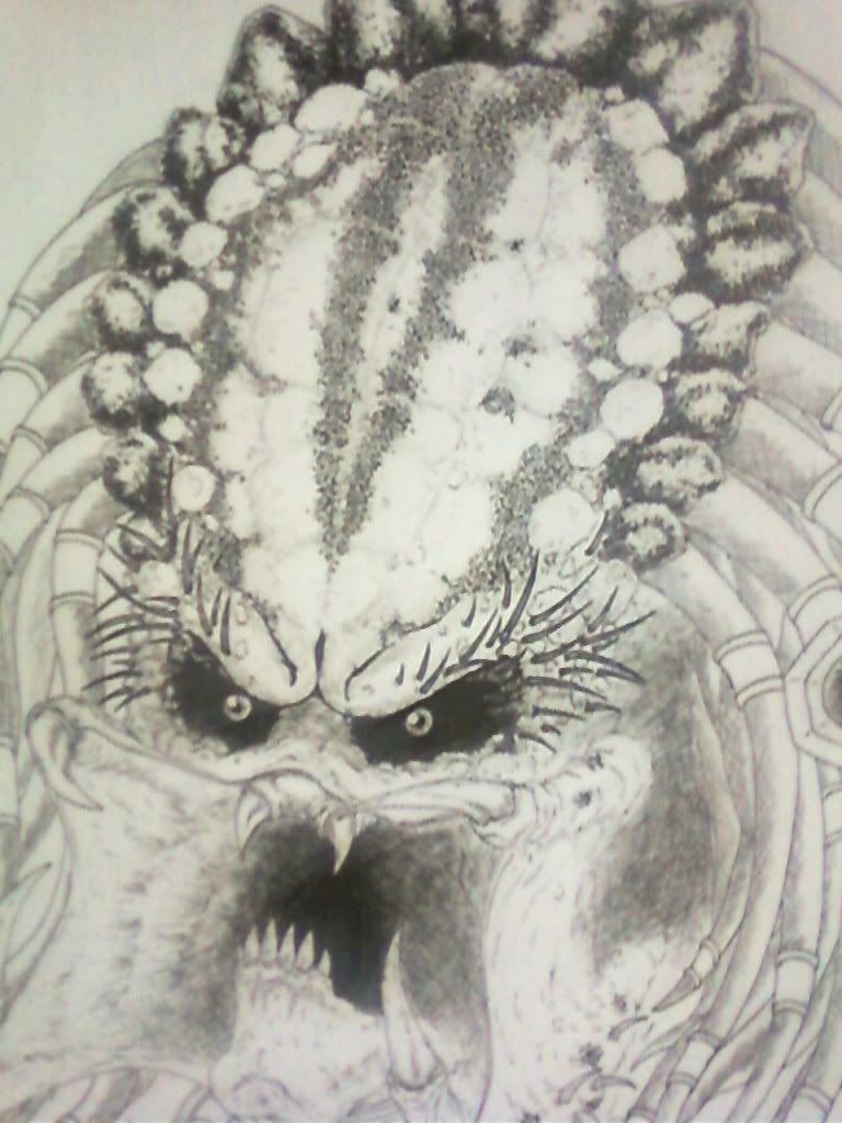Depredador, ultimos dibujos y anteriores + o - Depredador, ultimos dibujos y anteriores + o -
