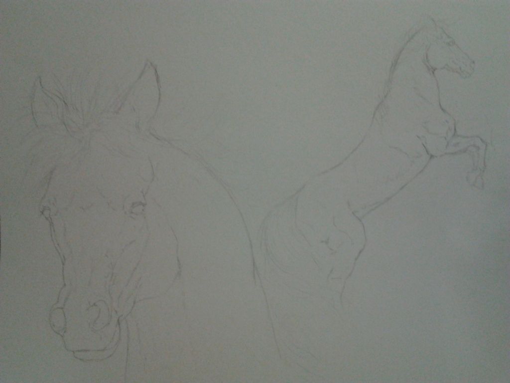 dibujos dibujos