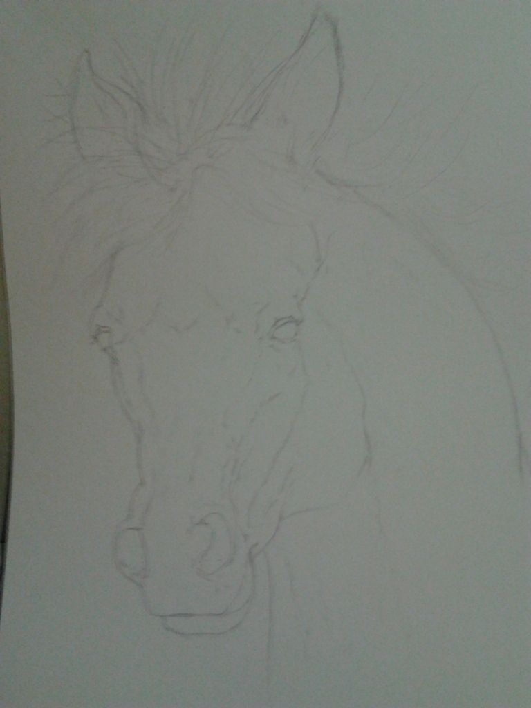 Dos dibujos. Dos dibujos.
