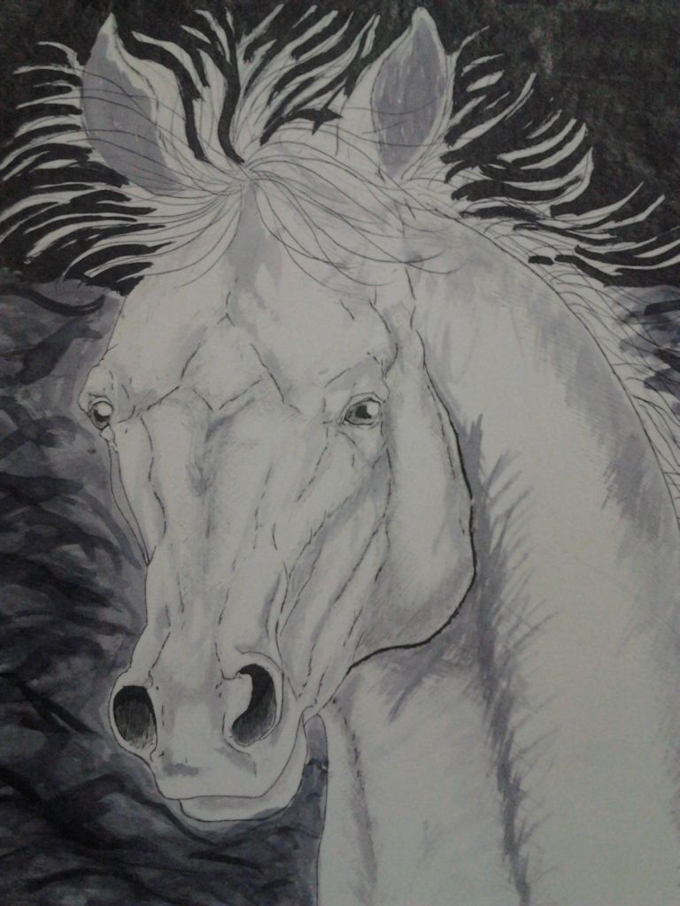 dibujos dibujos