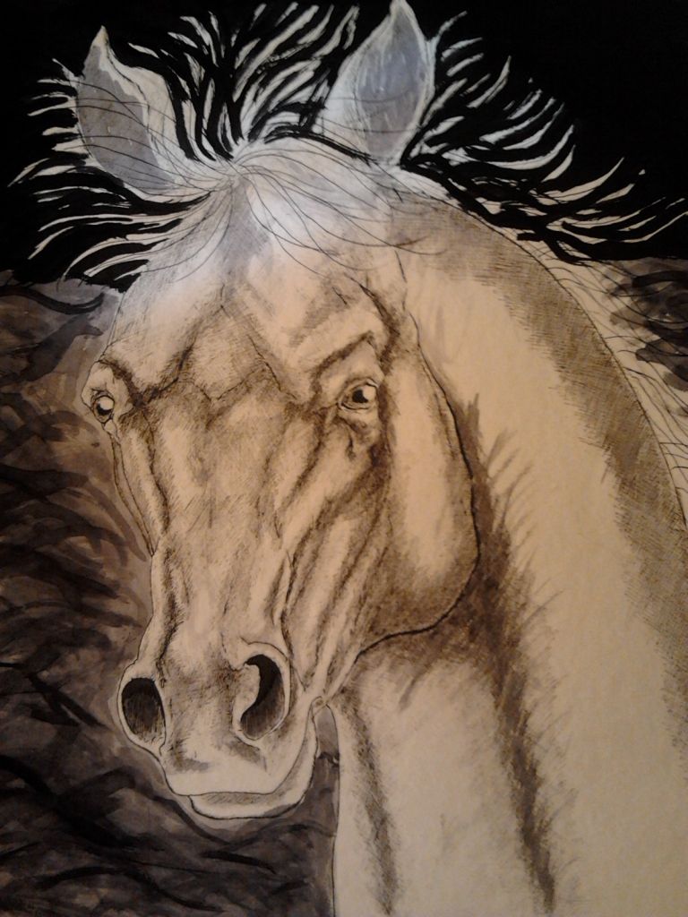 tintas tintas