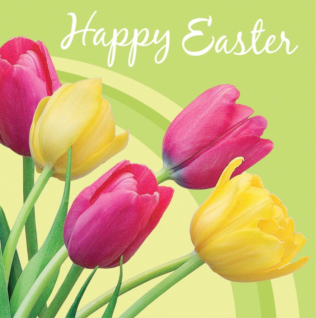 happy easter Pictures, Images and Photos