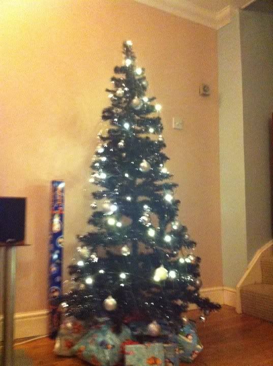 mineandtomsfirstchristmastree.jpg