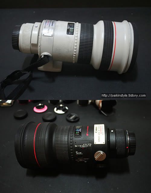 canon300mm_mini.jpg