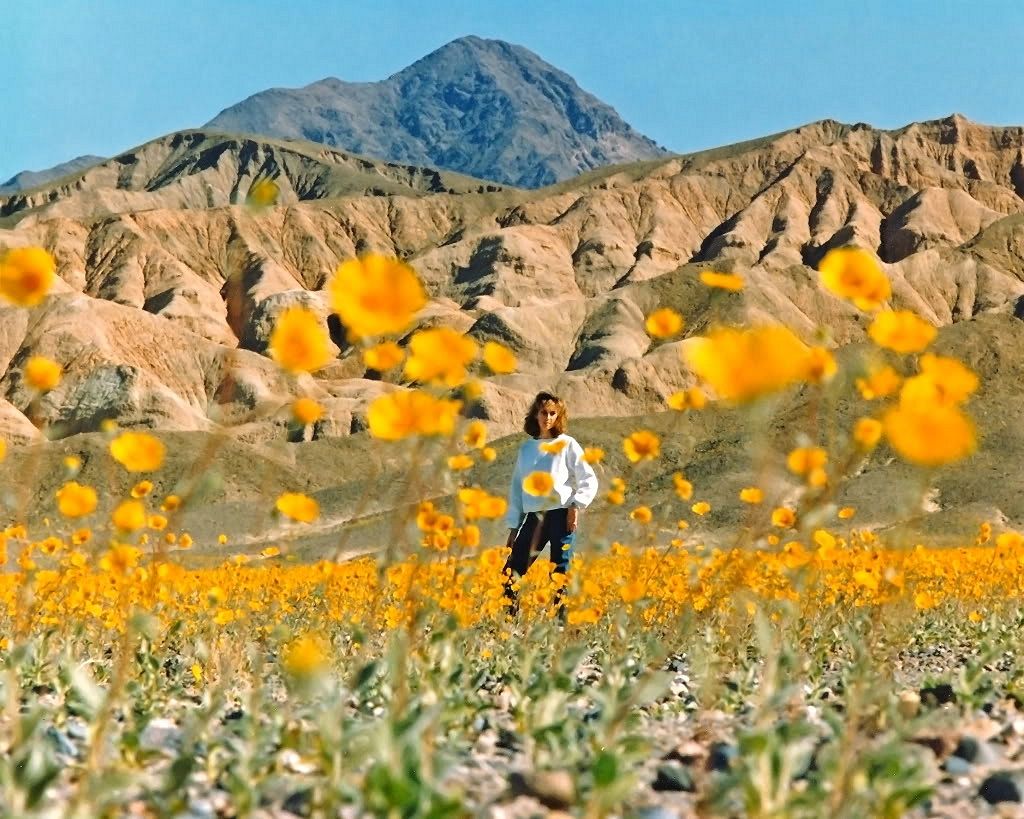 IMAGE: http://i1199.photobucket.com/albums/aa472/LarrysPhotos2/AmyDVSpring.jpg