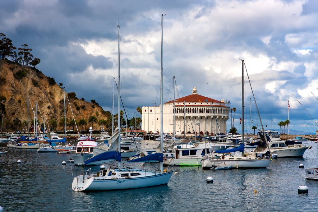 IMAGE: http://i1199.photobucket.com/albums/aa472/LarrysPhotos2/Pacific%20Coast%202012/SE4A1859cr.jpg