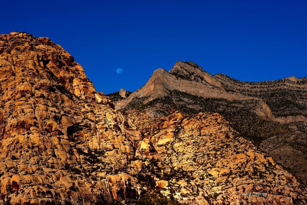 IMAGE: http://i1199.photobucket.com/albums/aa472/LarrysPhotos2/The%20Desert/SE4A0081glow.jpg