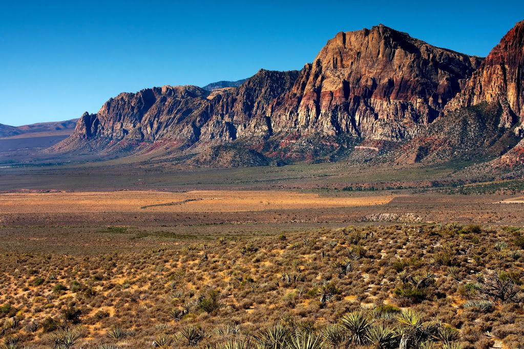 IMAGE: http://i1199.photobucket.com/albums/aa472/LarrysPhotos2/The%20Desert/SE4A8465b.jpg