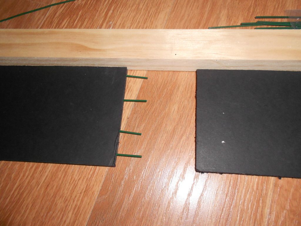 DSCN1623.jpg