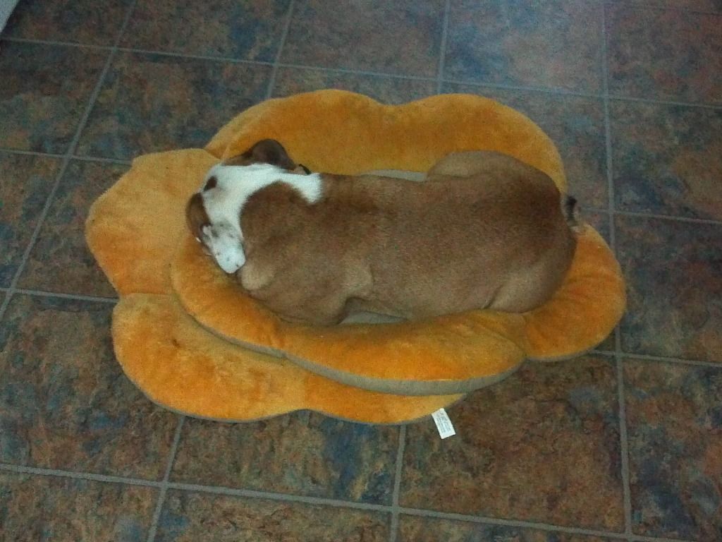 2011-09-13_07-18-17_340.jpg
