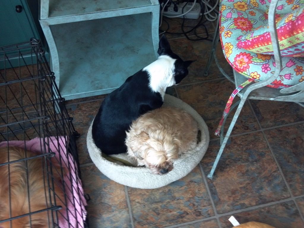 2011-09-13_11-19-24_69.jpg