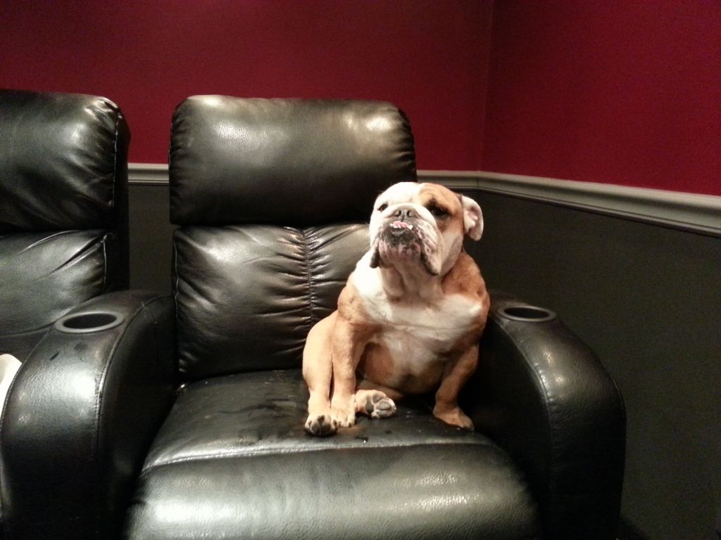 20120815_222302.jpg
