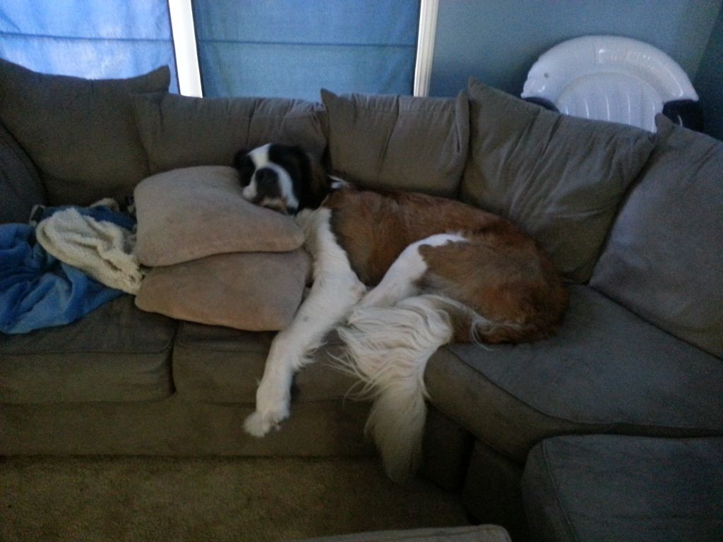 20120902_130636.jpg
