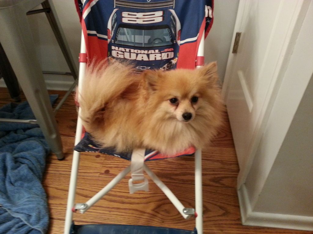 20121006_220845.jpg