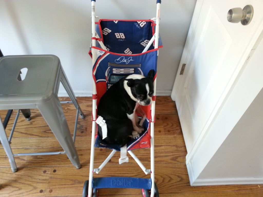 20121008_095326.jpg