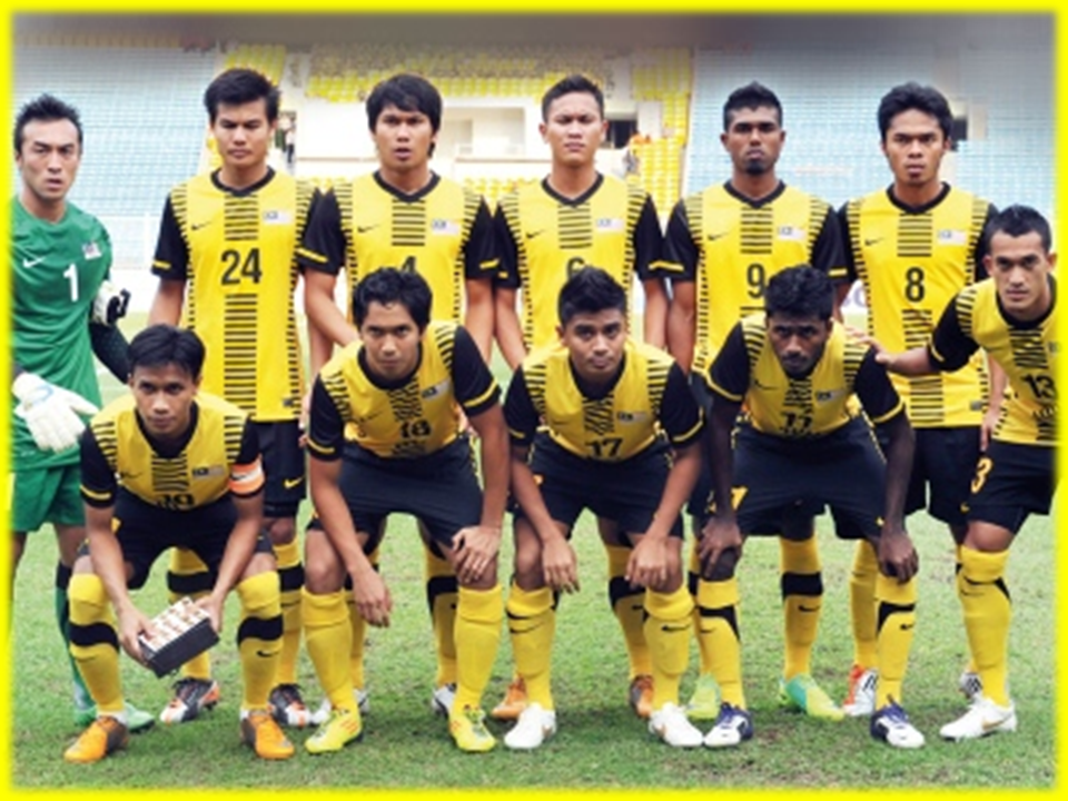 Harimau Malaya Pictures, Images and Photos