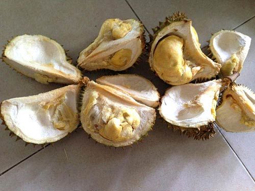 Hình ảnh