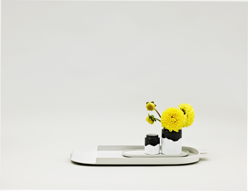 photo 1020_Agnes_Vases_On_Nabo_Tray_zps3675253e.png