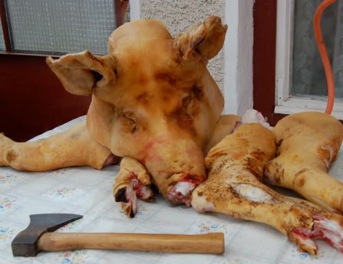 Hello Your Majesty Pig Head Feet and Toes