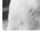  photo 0FCE6C829.gif