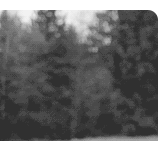  photo B413DDB66.gif