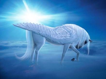  photo pegasoo.jpg