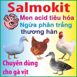 salmokit.jpg