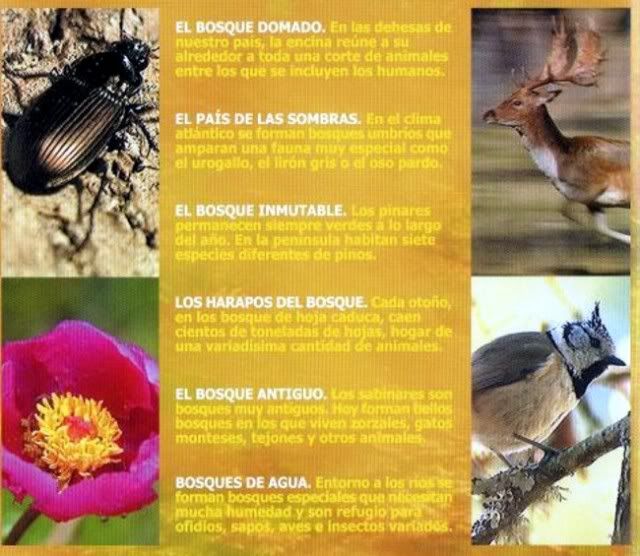 1 2 - El universo escondido - rtve (2003) [4 DVD9] [FSV-MU-FSN.dlc]
