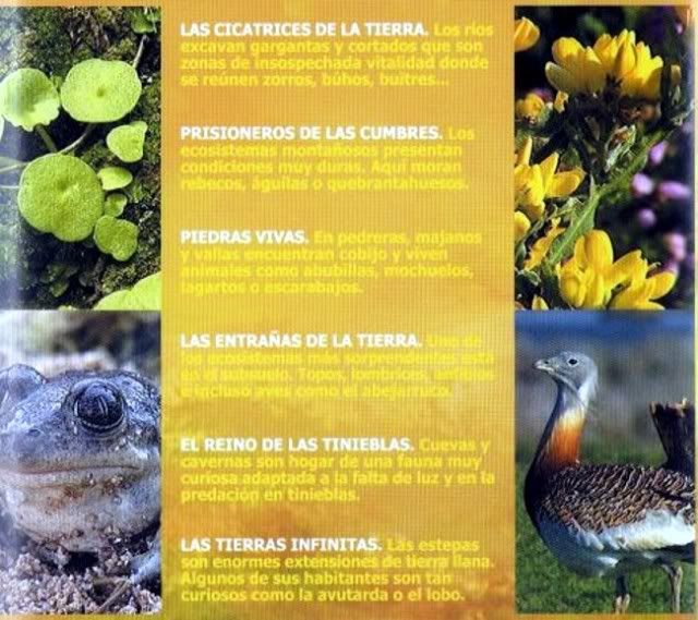 2 2 - El universo escondido - rtve (2003) [4 DVD9] [FSV-MU-FSN.dlc]