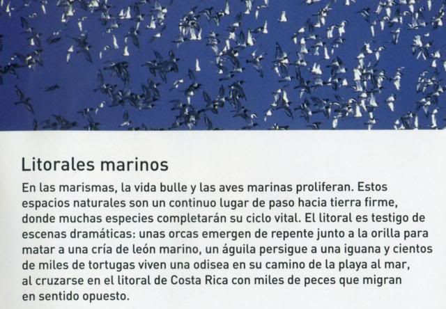 21 2 - El agua y la vida - Litorales marinos [21/22] [Planeta] (2009) [BDRemux 1080p] [AC3 5.1 ES/CA/EU/IN] [H.2