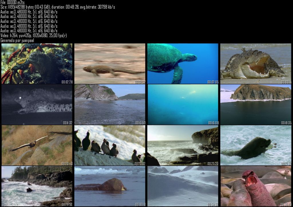 21 3 - El agua y la vida - Litorales marinos [21/22] [Planeta] (2009) [Full Blu-ray 1080p] [AC3 5.1 ES/CA/EU/IN