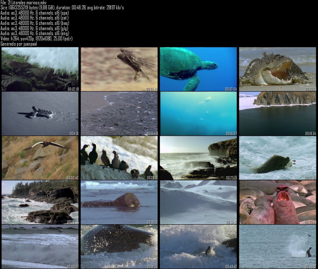 21Litoralesmarinos - El agua y la vida - Litorales marinos [21/22] [Planeta] (2009) [BDRemux 1080p] [AC3 5.1 ES/CA/EU/IN] [H.2