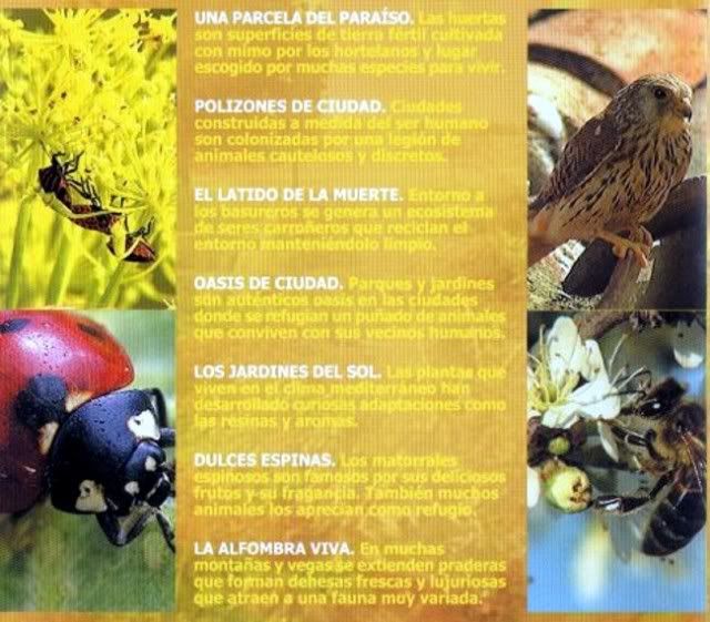 3 2 - El universo escondido - rtve (2003) [4 DVD9] [FSV-MU-FSN.dlc]