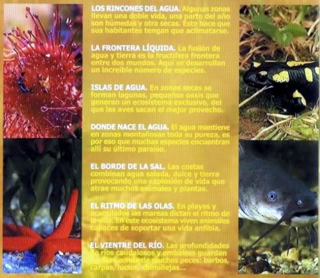 4 2 - El universo escondido - rtve (2003) [4 DVD9] [FSV-MU-FSN.dlc]