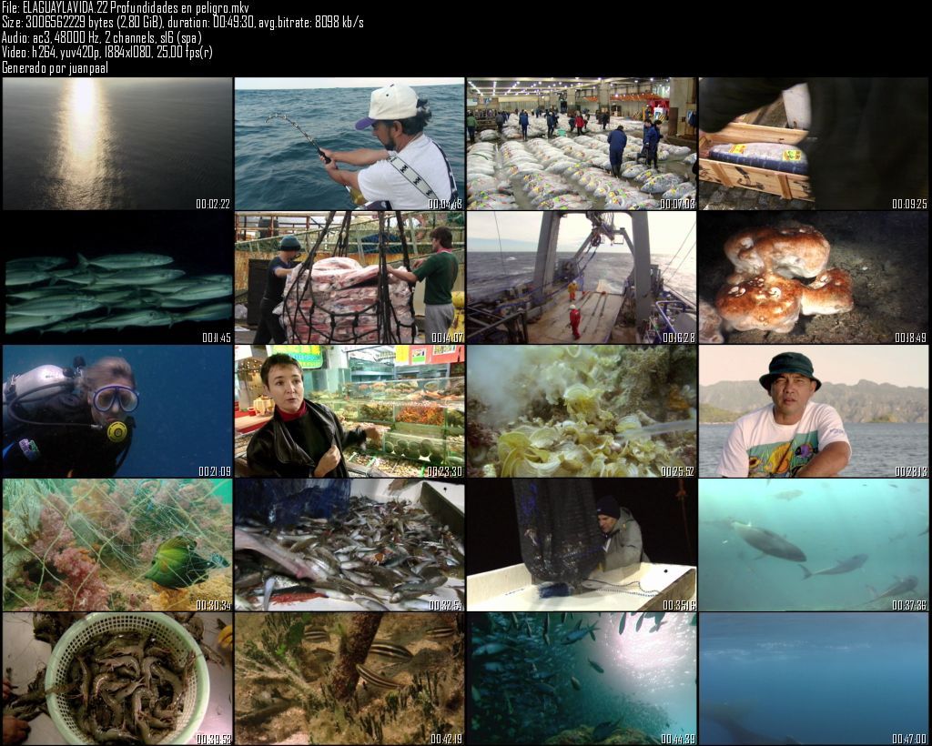 ELAGUAYLAVIDA22Profundidadesenpeligro - El agua y la vida - Profundidades en peligro [22/22] [Planeta] (2009) [BDRip 1080p] [AC3 5.1 ES] [H.264] [