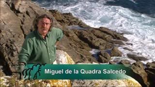 PDVD 001 1 - Nuestros Parques Nacionales [tve] (2004) [3 DVD9] [MG-FSV-FSN.dlc]