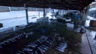 PDVD 005 55 - The Cove [Animales. Delfines] (2009) [Inglés] [sub-Esp] [DVD9] [FSV-MU-FSN.dlc]