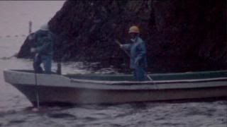 PDVD 006 55 - The Cove [Animales. Delfines] (2009) [Inglés] [sub-Esp] [DVD9] [FSV-MU-FSN.dlc]