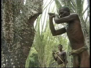 PDVD 008 29 - Grandes tribus primitivas [Esp-Ing] [3 DVD5] [FSV-FSN-MG.dlc]