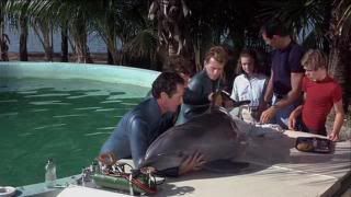 PDVD 008 54 - The Cove [Animales. Delfines] (2009) [Inglés] [sub-Esp] [DVD9] [FSV-MU-FSN.dlc]