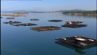 PDVD 029 - Nuestros Parques Nacionales [tve] (2004) [3 DVD9] [MG-FSV-FSN.dlc]