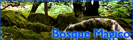 http://i1199.photobucket.com/albums/aa478/Jv_MenesesG/bosquep.png