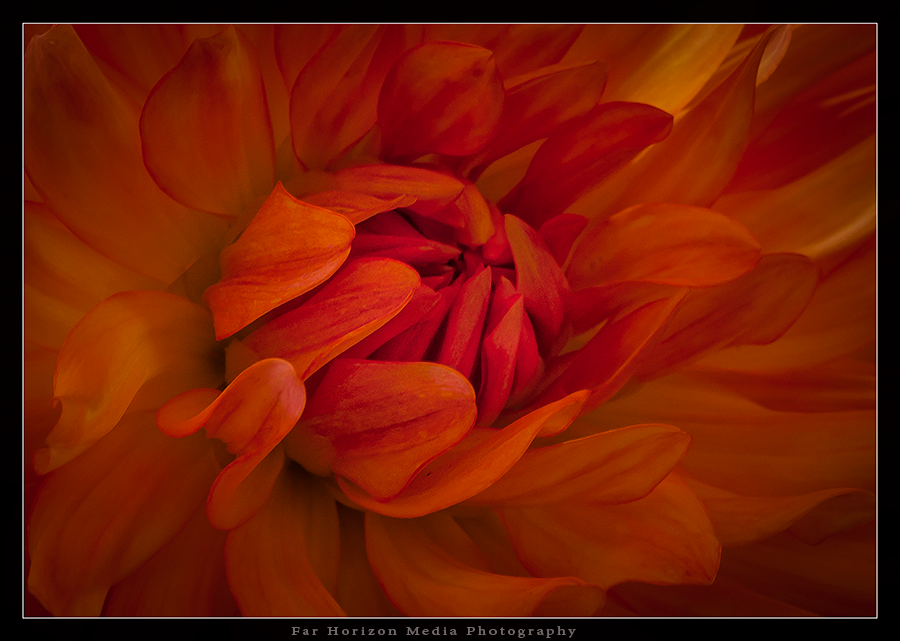 Fotografie