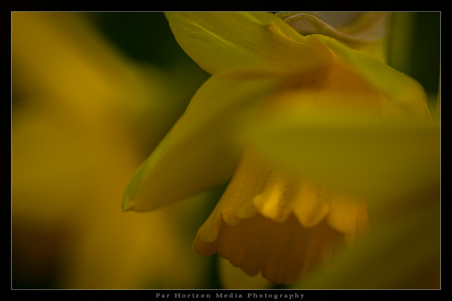 Fotografie